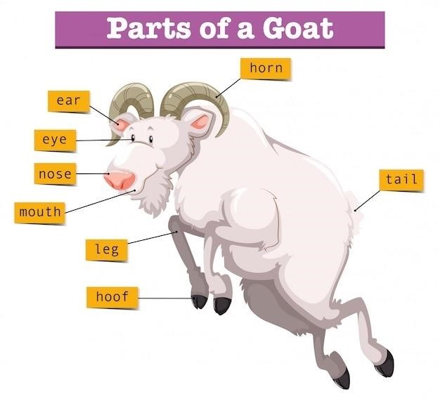 external body parts of cow pdf