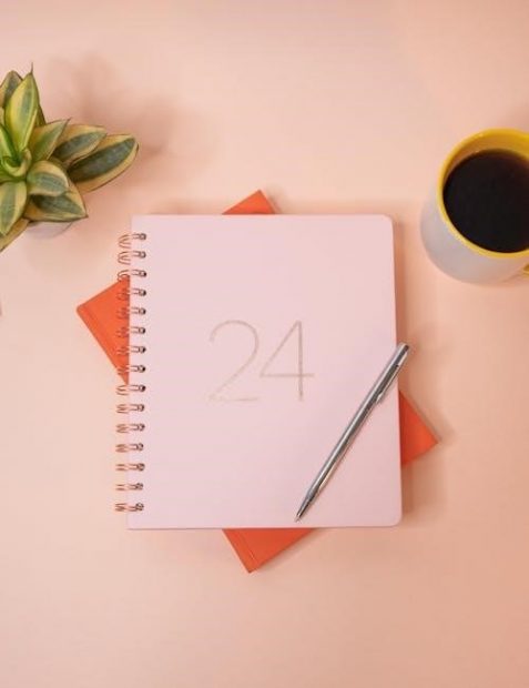 nanakshahi calendar 2024 pdf in punjabi