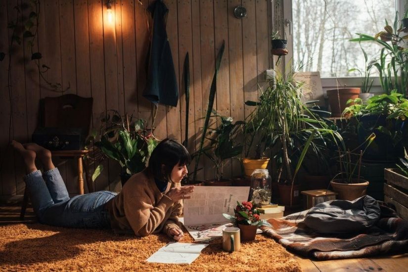 the introvert’s survival guide